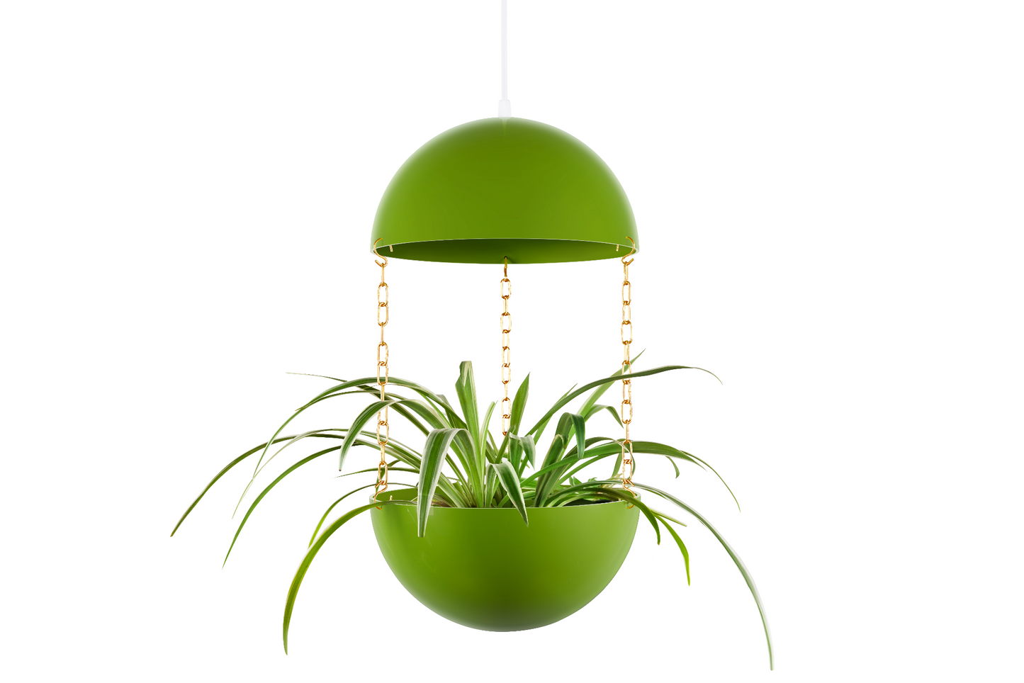 lamp plant pot Pendant Planter – Maddwoods