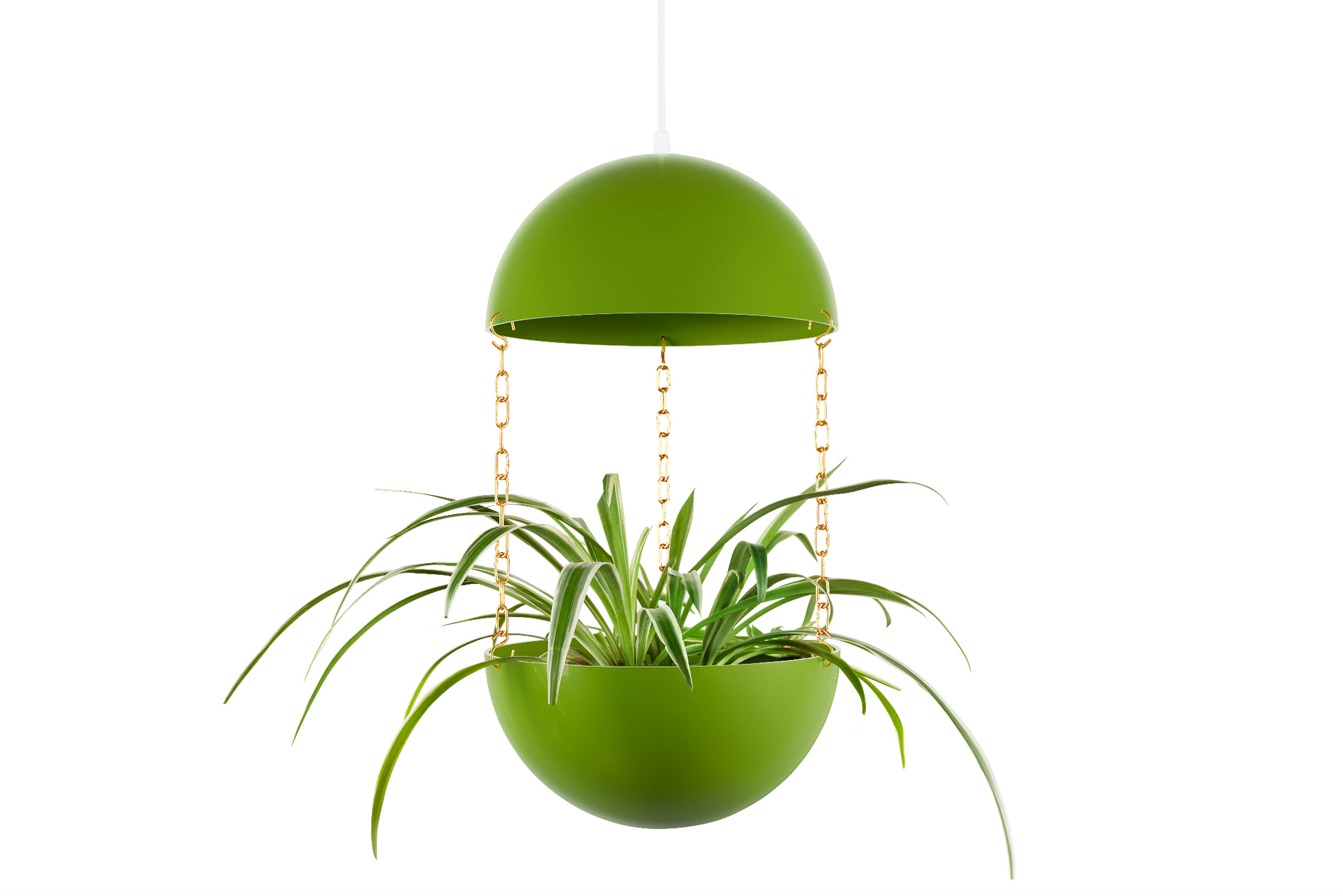 hanging light planter Pendant Planter – Maddwoods