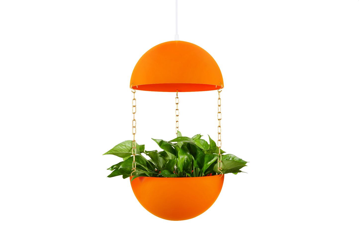 Pendant Planter