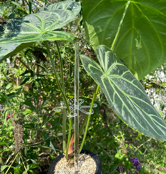 Acrylic Plant Stakes
