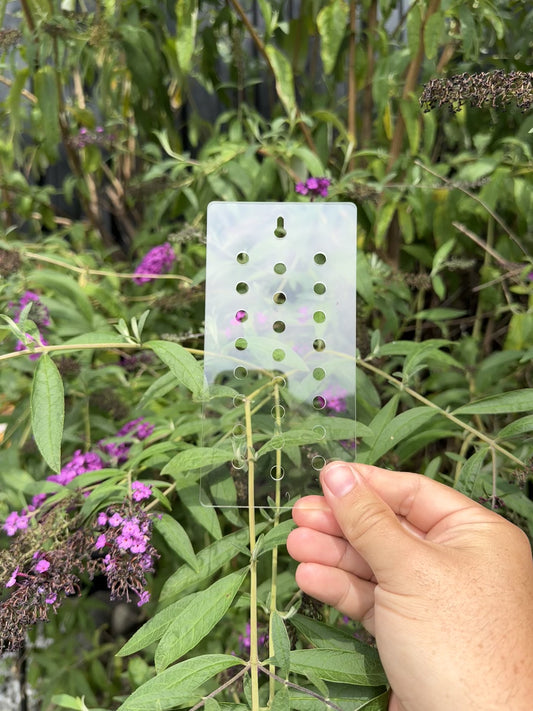 Rectangle Plant Mount