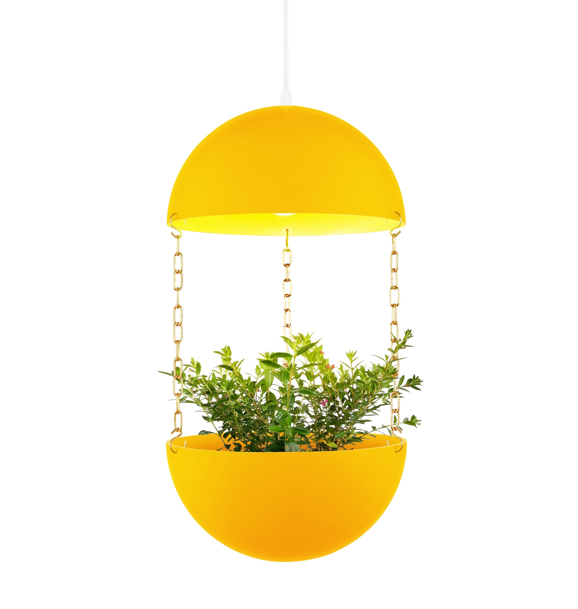 hanging plant lamp Pendant Planter – Maddwoods