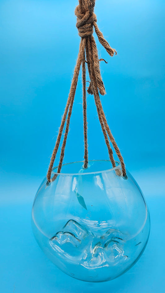 Hanging Fluid Freeform Glass Molten Terrarium with Rope