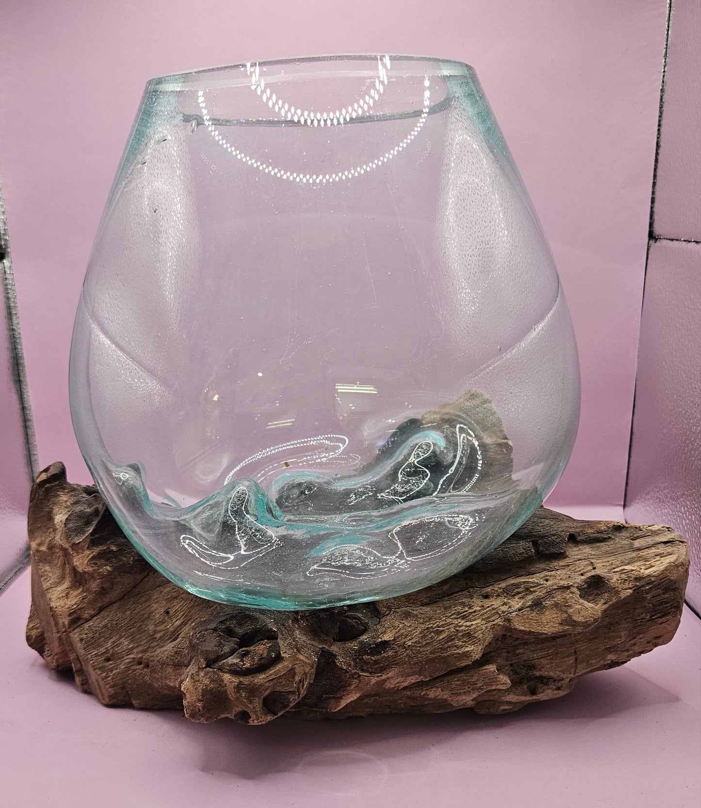 Large Teak Root Driftwood and Molten Glass Terrarium- Single Globe