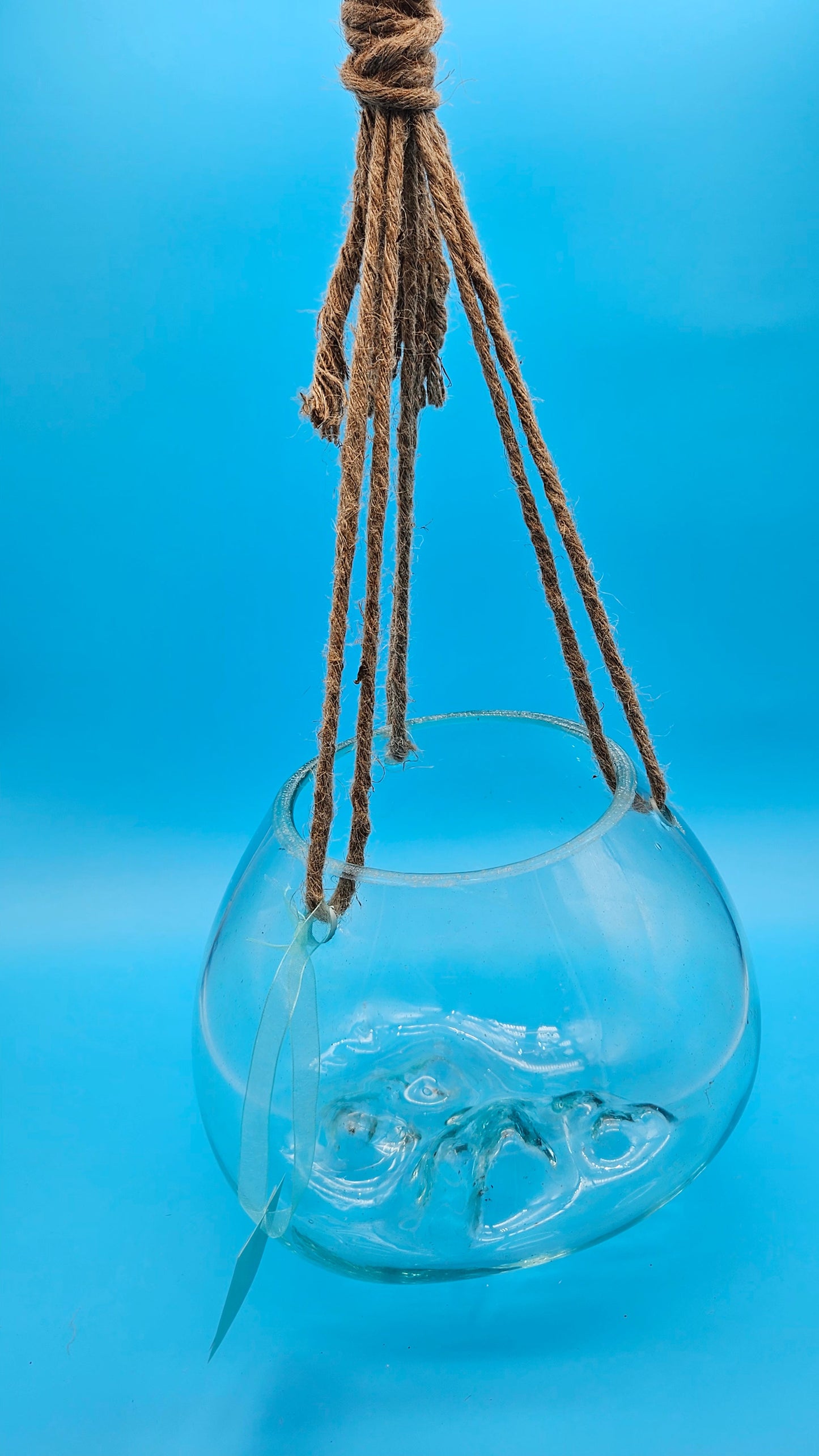 Hanging Fluid Freeform Glass Molten Terrarium with Rope
