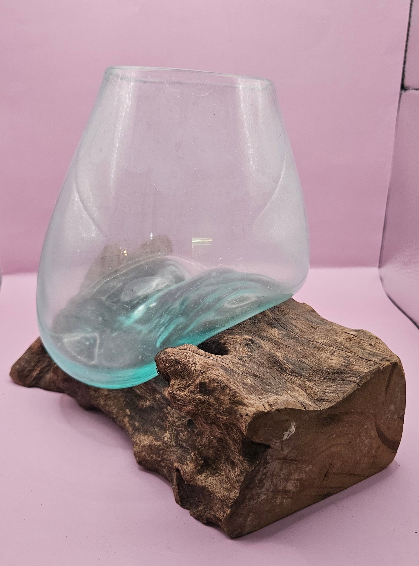 Large Teak Root Driftwood and Molten Glass Terrarium- Single Globe