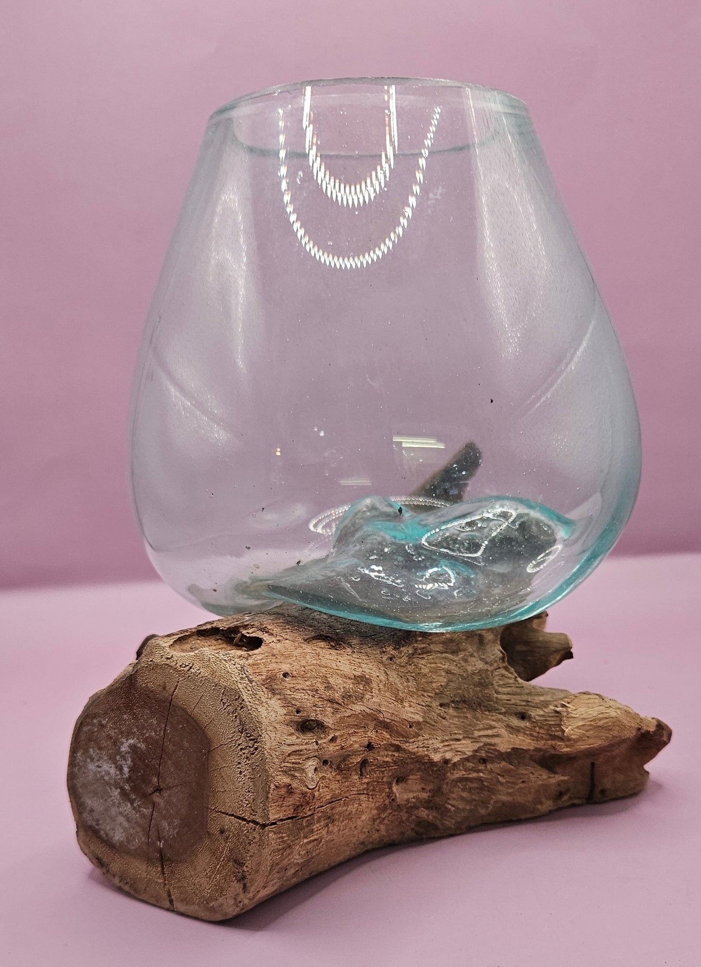 Large Teak Root Driftwood and Molten Glass Terrarium- Single Globe