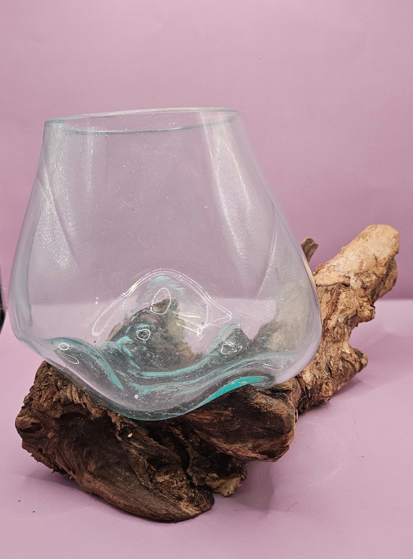 Small/Medium Teak Root Driftwood and Molten Glass Terrarium- Single Globe