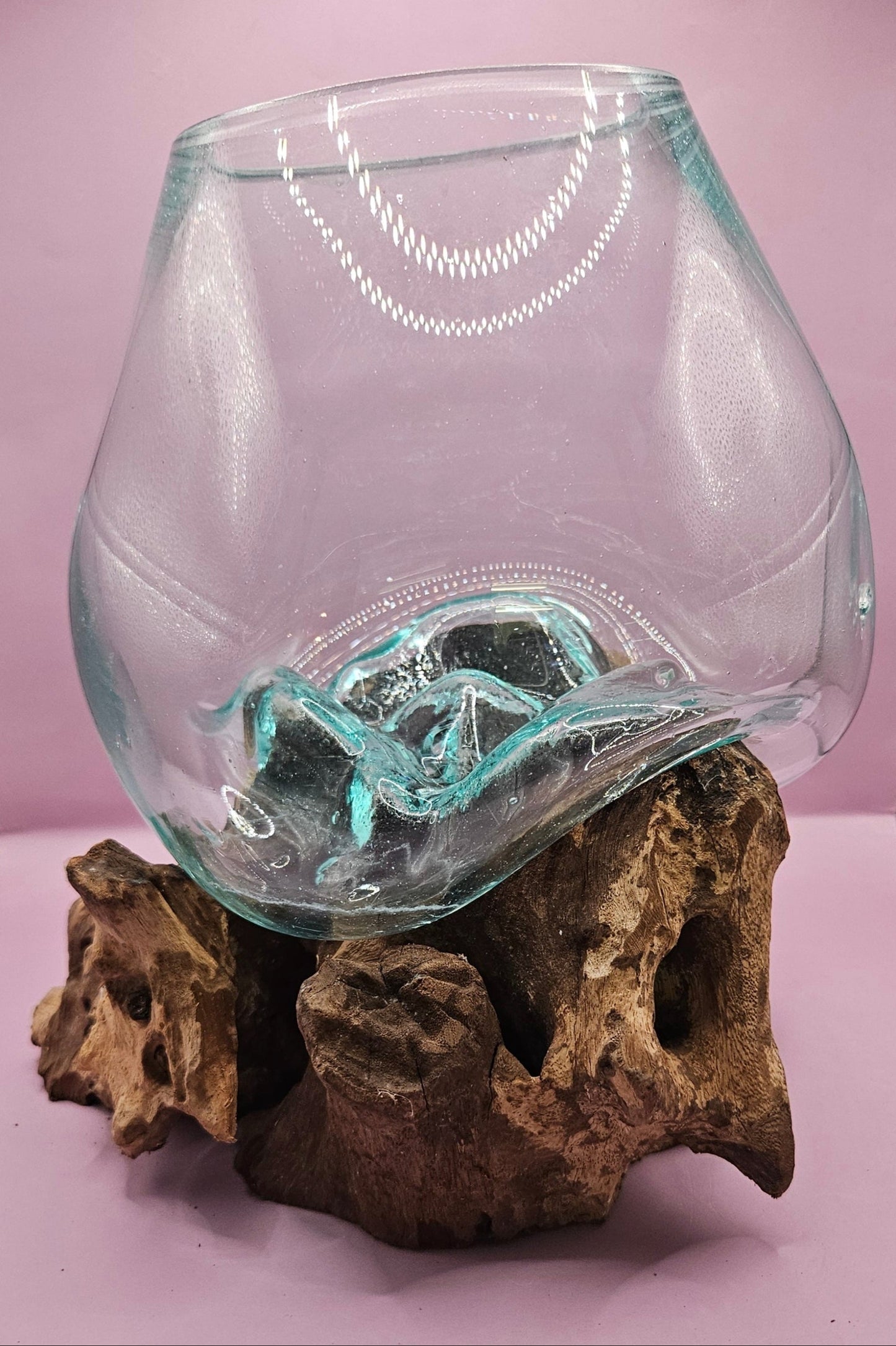 Large Teak Root Driftwood and Molten Glass Terrarium- Single Globe