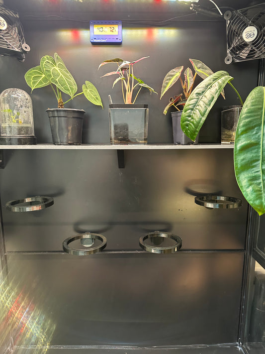 Rudsta Wide SLIM Full Shelf - Maddwoods