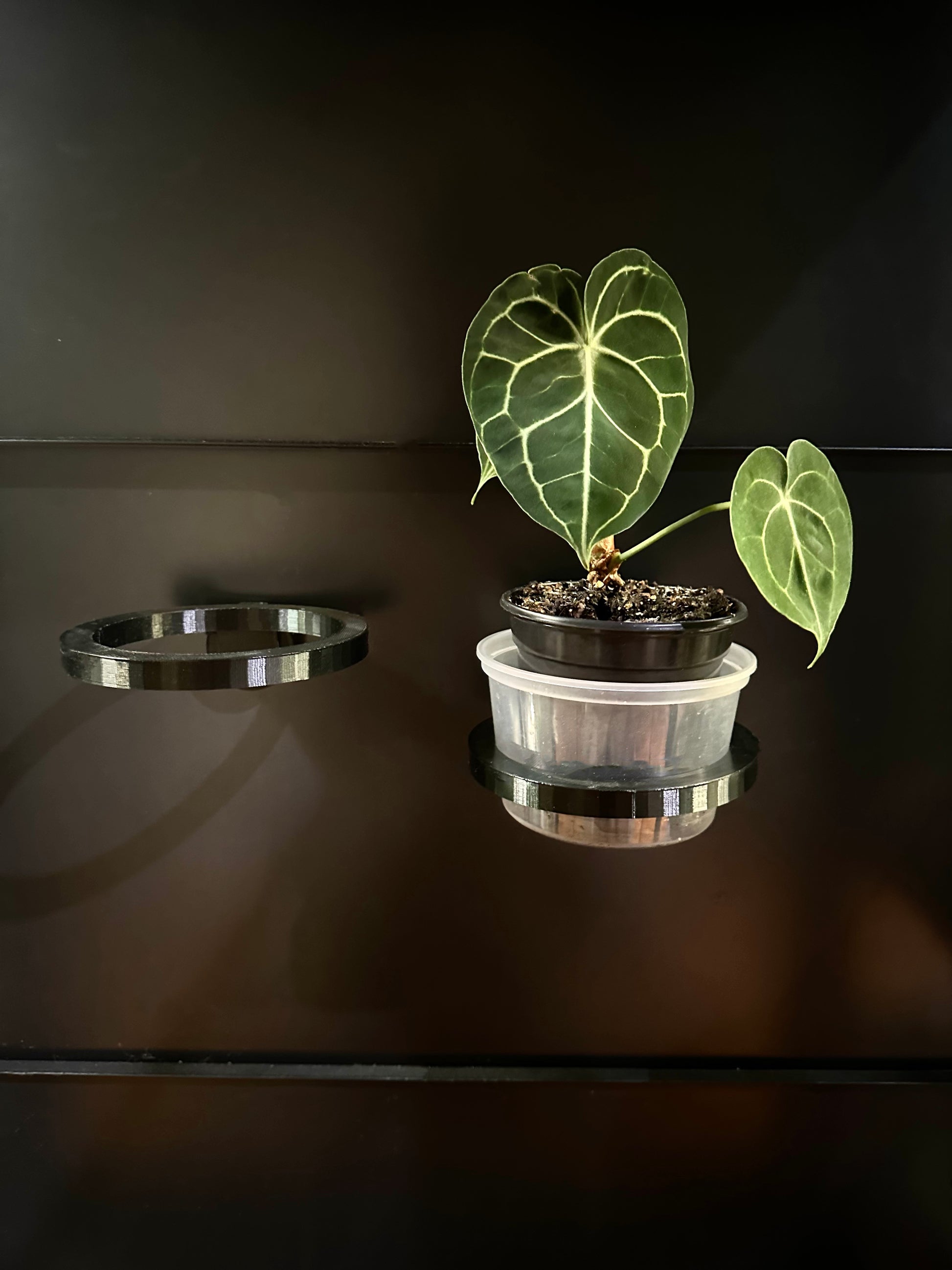 round plant pot holders Round Magnetic Pot Holders