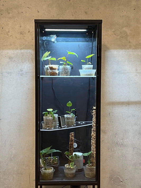 Rudsta Tall Corner Shelf - Maddwoods