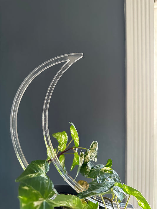 Moon Trellis - Maddwoods