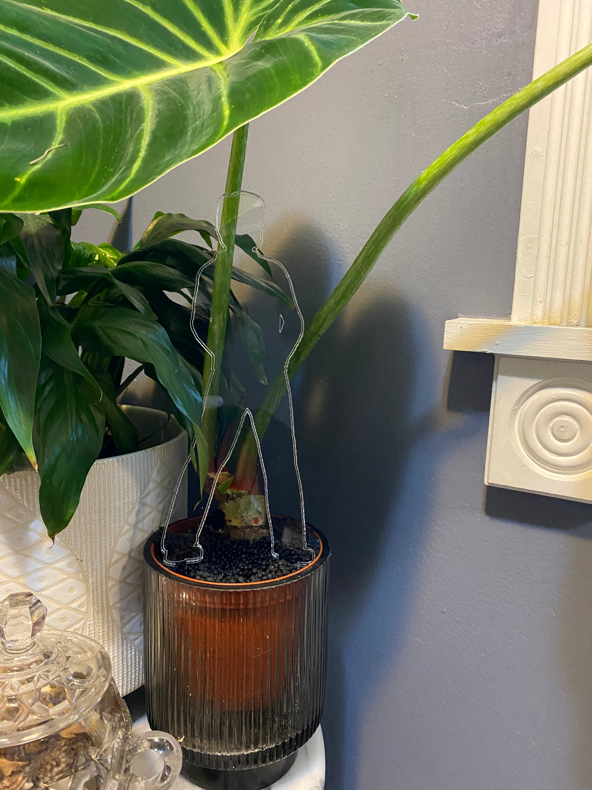 peeing planter pot Peeing Pot Stake – Maddwoods